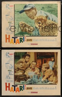 1w158 HATARI 8 LCs 1962 Howard Hawks, John Wayne in Africa, Elsa Martinelli!
