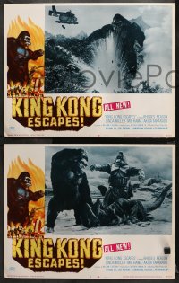 1w189 KING KONG ESCAPES 8 LCs 1968 Ishiro Honda's Kingukongu no Gyakushu, cool monster images!