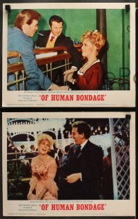 1w247 OF HUMAN BONDAGE 8 LCs 1964 sexy Kim Novak, Laurence Harvey, Jack Hedley!