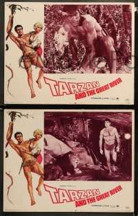 1w333 TARZAN & THE GREAT RIVER 8 LCs 1967 Mike Henry in the title role with sexy Diana Millay!