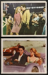 1w662 VIVA LAS VEGAS 4 int'l LCs 1964 Elvis Presley dancing with sexy Ann-Margret, Love in Las Vegas!
