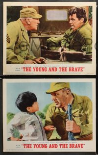 1w394 YOUNG & THE BRAVE 8 LCs 1963 Rory Calhoun, William Bendix, Richard Jaeckel!