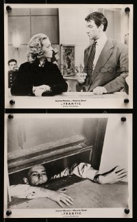 1x930 ELEVATOR TO THE GALLOWS 2 8x10 stills 1961 Louis Malle's Ascenseur pour l'echafaud, Jeanne Moreau!