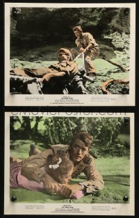 1x109 PURPLE PLAIN 2 color 8x10 stills 1955 great images of Gregory Peck, written by Eric Ambler!