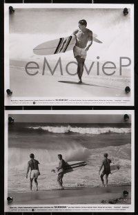 1x179 BIG WEDNESDAY 33 8x10 stills 1978 John Milius surfing classic, Busey, Jan-Michael Vincent!