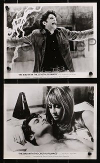 1x372 BIRD WITH THE CRYSTAL PLUMAGE 12 8x10 stills 1970 Argento's L'Uccello Dalle Piume Di Cristallo!