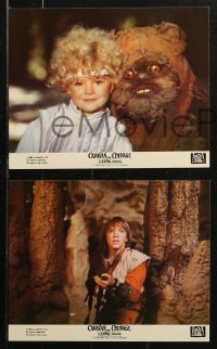 1x024 CARAVAN OF COURAGE 8 8x10 mini LCs 1984 An Ewok Adventure, Star Wars, great images!