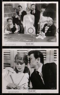 1x489 DARLING 9 from 7.5x9.5 to 8x10 stills 1965 Schlesinger, Julie Christie, Dirk Bogarde!
