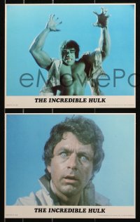 1x055 INCREDIBLE HULK 7 color 8x10 stills 1980 different images of Bill Bixby & Lou Ferrigno!