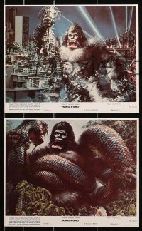 1x036 KING KONG 8 8x10 mini LCs 1976 great images of sexy Jessica Lange & BIG Ape + Berkey artwork!