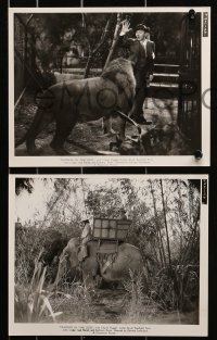 1x682 MURDERS IN THE ZOO 6 8x10 stills 1933 lions, bears and man killed by python snake!