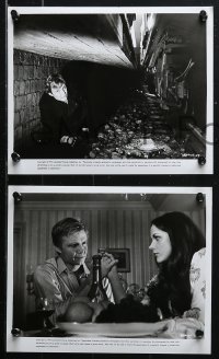 1x261 ODESSA FILE 18 8x10 stills 1974 great images of Jon Voight, Mary Tamm, Nazi spies!