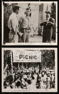 1x281 PICNIC 16 8x10 stills 1956 great images of William Holden & differemember members!