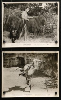 1x284 TARZAN'S HIDDEN JUNGLE 16 8x10 stills 1955 Vera Miles with Gordon Scott & Zippy the chimp!