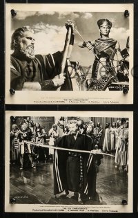 1x181 TEN COMMANDMENTS 33 8x10 stills 1956 Cecil B. DeMille classic, Charlton Heston, Brynner!