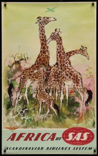 2c289 SAS AFRICA 25x39 Danish travel poster 1950s great Otto Nielsen wildlife art of giraffes!