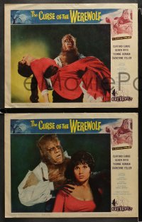 2c153 CURSE OF THE WEREWOLF 8 LCs 1961 great images of monster Oliver Reed & sexy Yvonne Romain!