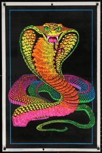 2g275 COBRA blacklight 23x35 commercial poster 1970s huge legendary snake on crushed black felt!