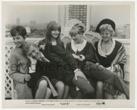 2h058 ALFIE 8.25x10 candid still 1966 Michael Caine, Shelley Winters, Jane Asher, Field & Merchant!