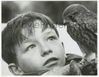 2h532 KES 8x10.25 still 1969 super close up of young David Bradley with his beloved pet falcon!