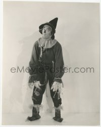 2h980 WIZARD OF OZ deluxe 7x9 still 1939 Ray Bolger as Scarecrow who wants brain more than anything!