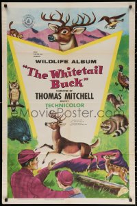 2j973 WHITETAIL BUCK 1sh 1955 RKO nature documentary, art of deer & forest animals!