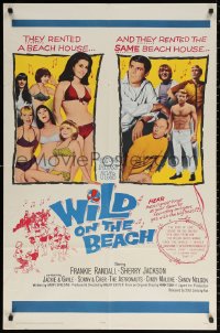 2j977 WILD ON THE BEACH 1sh 1965 Frankie Randall, Sherry Jackson, Sonny & Cher, teen rock & roll!