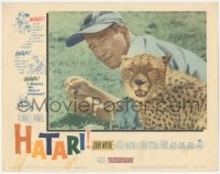 2m485 HATARI LC #5 1962 great c/u of John Wayne with cute leopard cub in Africa, Howard Hawks!