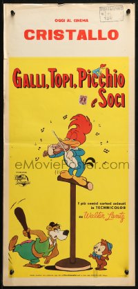 2p358 WOODY WOODPECKER Italian locandina 1961 great completely different art of cartoon characters!