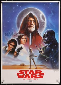 2y0382 STAR WARS 19x27 video poster R1995 A New Hope, George Lucas classic epic, art by John Alvin!