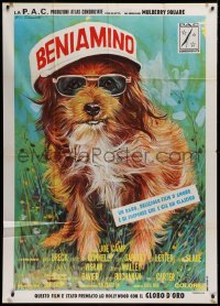 2z0535 BENJI Italian 1p 1975 Joe Camp classic dog movie, great different Ezio Tarantelli art!