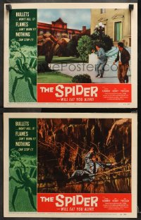 3g0765 SPIDER 2 LCs 1958 cool special effects scenes of the giant insect attacking and more!