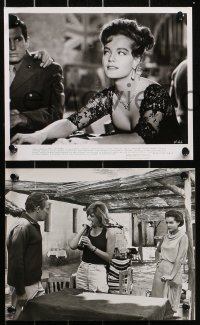3g0930 ROMY SCHNEIDER 12 8x10 stills 1960s-1970s cool portraits of the star from a variety of roles!