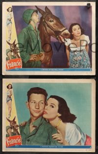3g0494 FRANCIS THE TALKING MULE 5 LCs 1949 images of Donald O'Connor, Patricia Medina & the donkey!