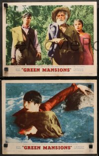 3g0620 GREEN MANSIONS 3 LCs 1959 pretty Audrey Hepburn, Anthony Perkins, directed by Mel Ferrer!