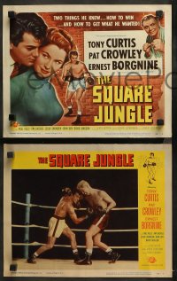 3g0332 SQUARE JUNGLE 8 LCs 1956 Pat Crowley, Borgnine, boxing Tony Curtis fighting in the ring!