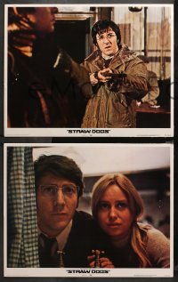 3g0519 STRAW DOGS 5 LCs 1972 directed by Sam Peckinpah, great images of Dustin Hoffman & Susan George!
