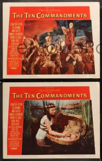 3g0351 TEN COMMANDMENTS 8 LCs 1956 Cecil B. DeMille classic, Charlton Heston, Yul Brynner!