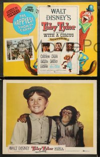 3g0364 TOBY TYLER 8 LCs 1960 Walt Disney, Kevin Corcoran, Mister Stubbs the chimpanzee, circus!