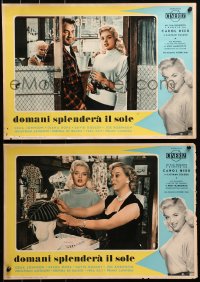 3p0209 KID FOR TWO FARTHINGS group of 10 Italian 13x19 pbustas 1956 great images of sexy Diana Dors!