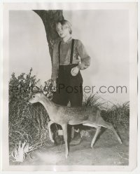 3r0637 YEARLING 8.25x10.25 still 1946 full-length close up of Claude Jarman Jr. with baby deer!
