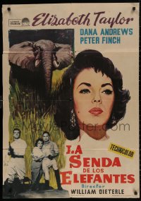 3t0325 ELEPHANT WALK Spanish R1964 Elizabeth Taylor, Dana Andrews & Peter Finch, different!