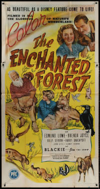 3w0383 ENCHANTED FOREST 3sh 1945 Edmund Lowe, Brenda Joyce, as beautiful as a Disney feature!