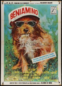 3w0231 BENJI Italian 1p 1975 Joe Camp classic dog movie, great different Ezio Tarantelli art!