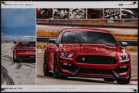 4a0628 FORD 24x36 special poster 2019 images of the incredible Shelby GT350 muscle car!