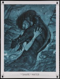 4a0669 SHAPE OF WATER 24x32 special poster 2017 Guillermo del Toro, best James Jean art!