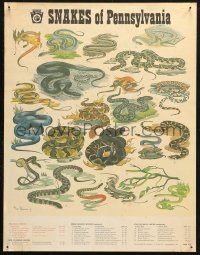 4a0671 SNAKES OF PENNSYLVANIA 17x22 special poster 1970s Tom Duran Jr. art of many reptiles!