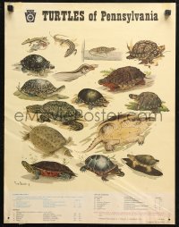 4a0683 TURTLES OF PENNSYLVANIA 17x22 special poster 1975 Tom Duran Jr. of the reptiles!