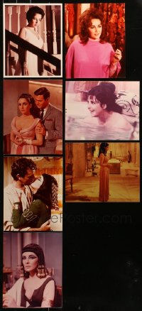 4h0583 LOT OF 7 ELIZABETH TAYLOR COLOR 8X10 REPRO PHOTOS 1980s portraits of the Hollywood legend!