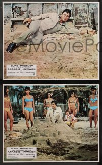 4m0056 PARADISE - HAWAIIAN STYLE 8 style B French LCs 1966 Elvis Presley, Leigh, Shigeta, different!